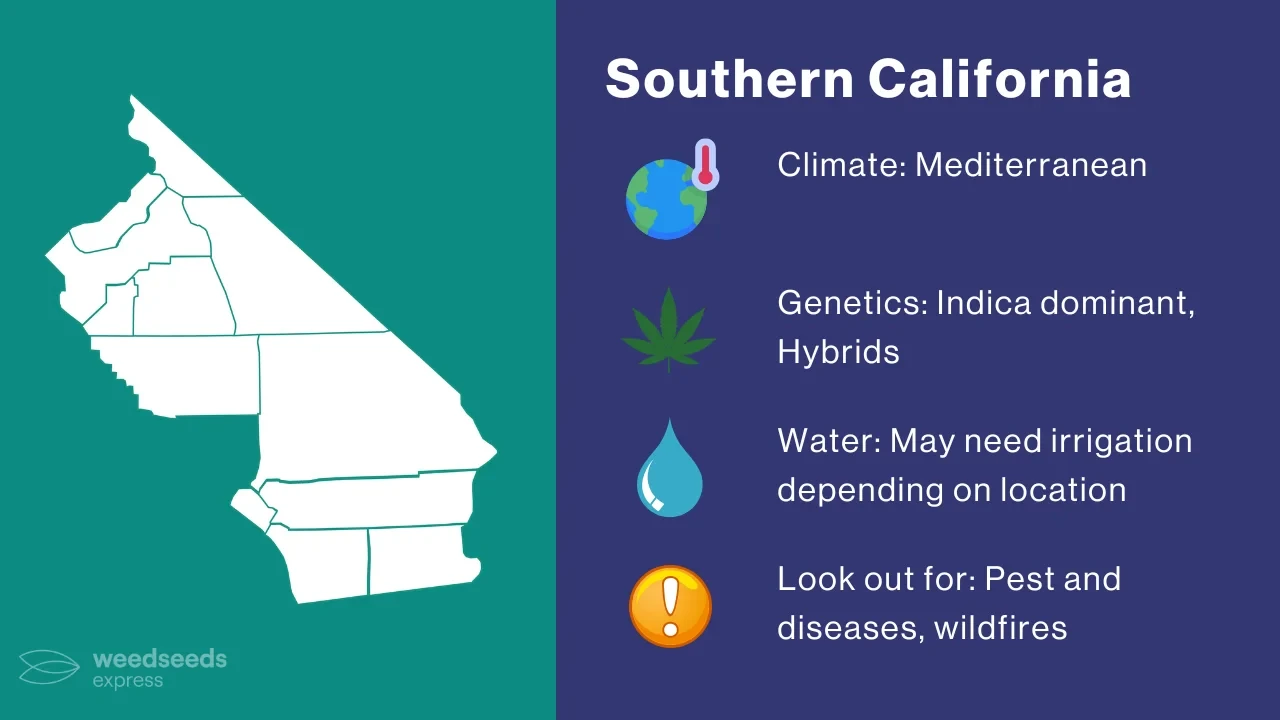 Cannabis Growing Climate in Southern California
